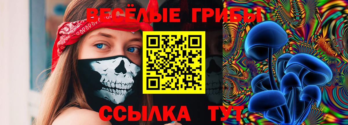 Псилоцибиновые грибы Psilocybe Белово